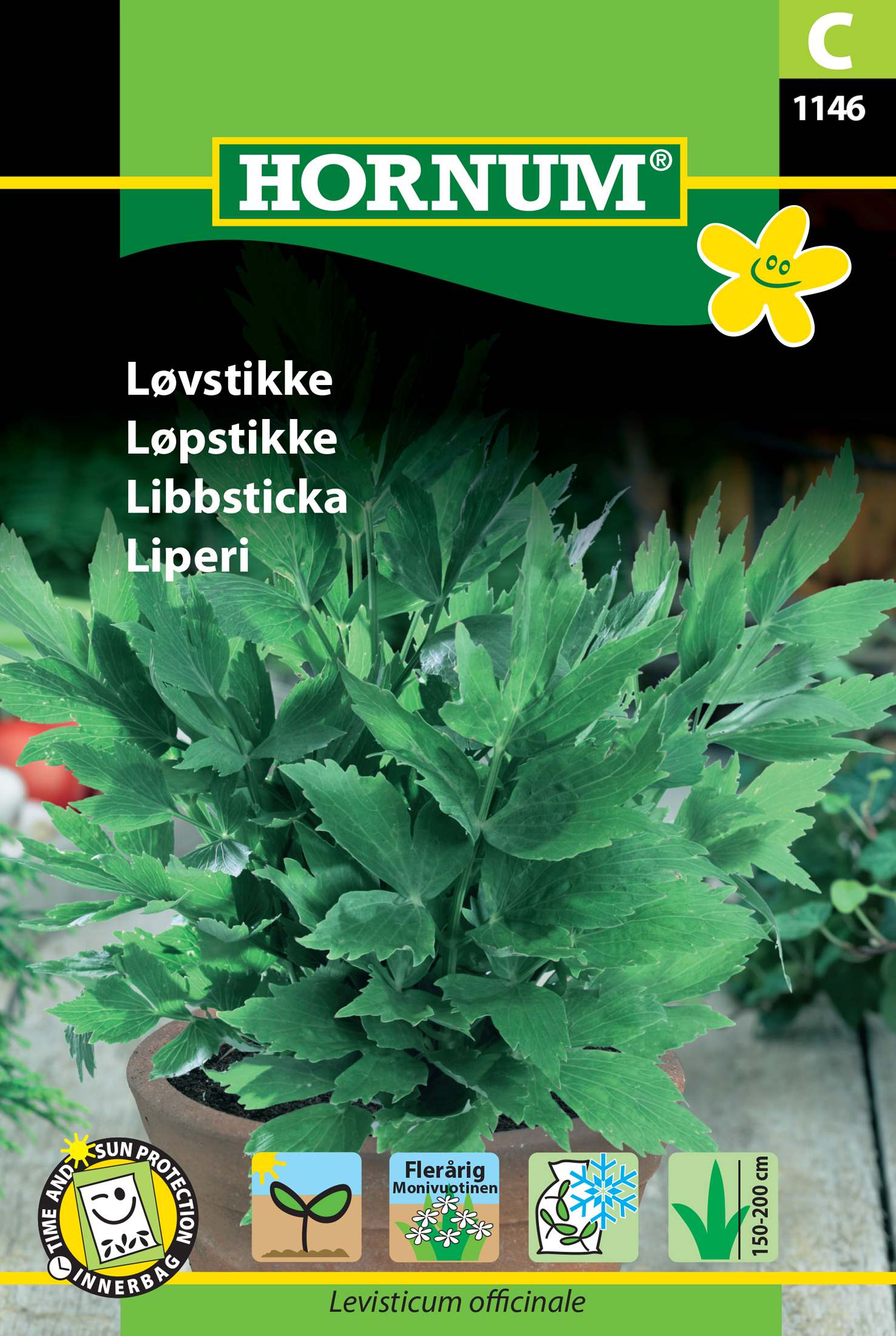 Fræ Skessujurt Levisticum officinale