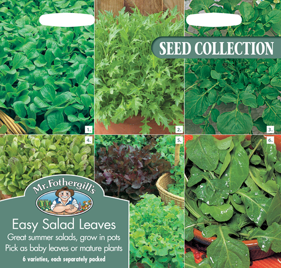 Fræ Easy Salad Leaves Collection