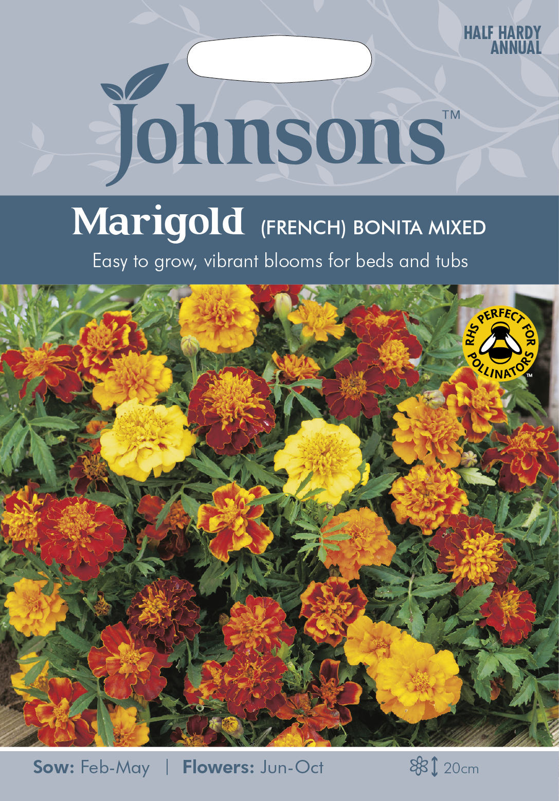 Fræ Marigold (French) Bonita Mixed