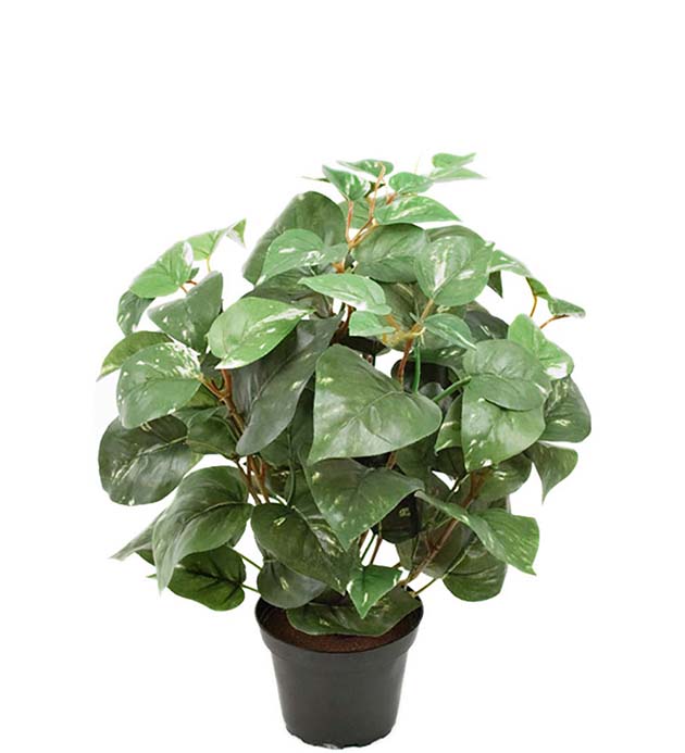 Gervi Gullranka í potti h35cm