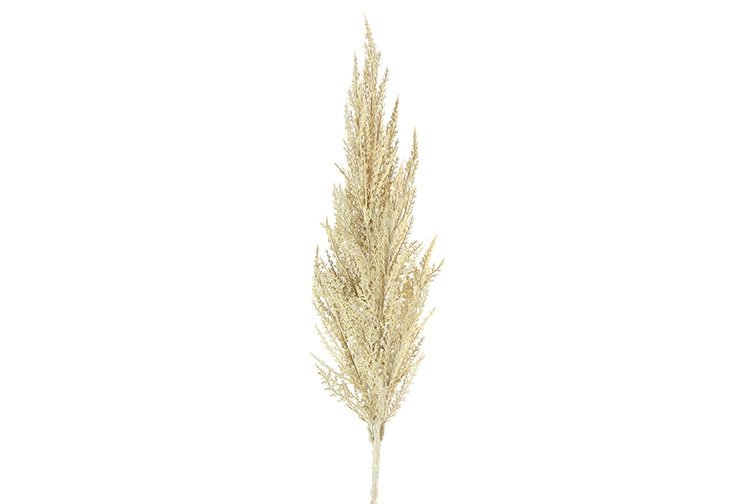 Gervi Cortaderia 93cm cream