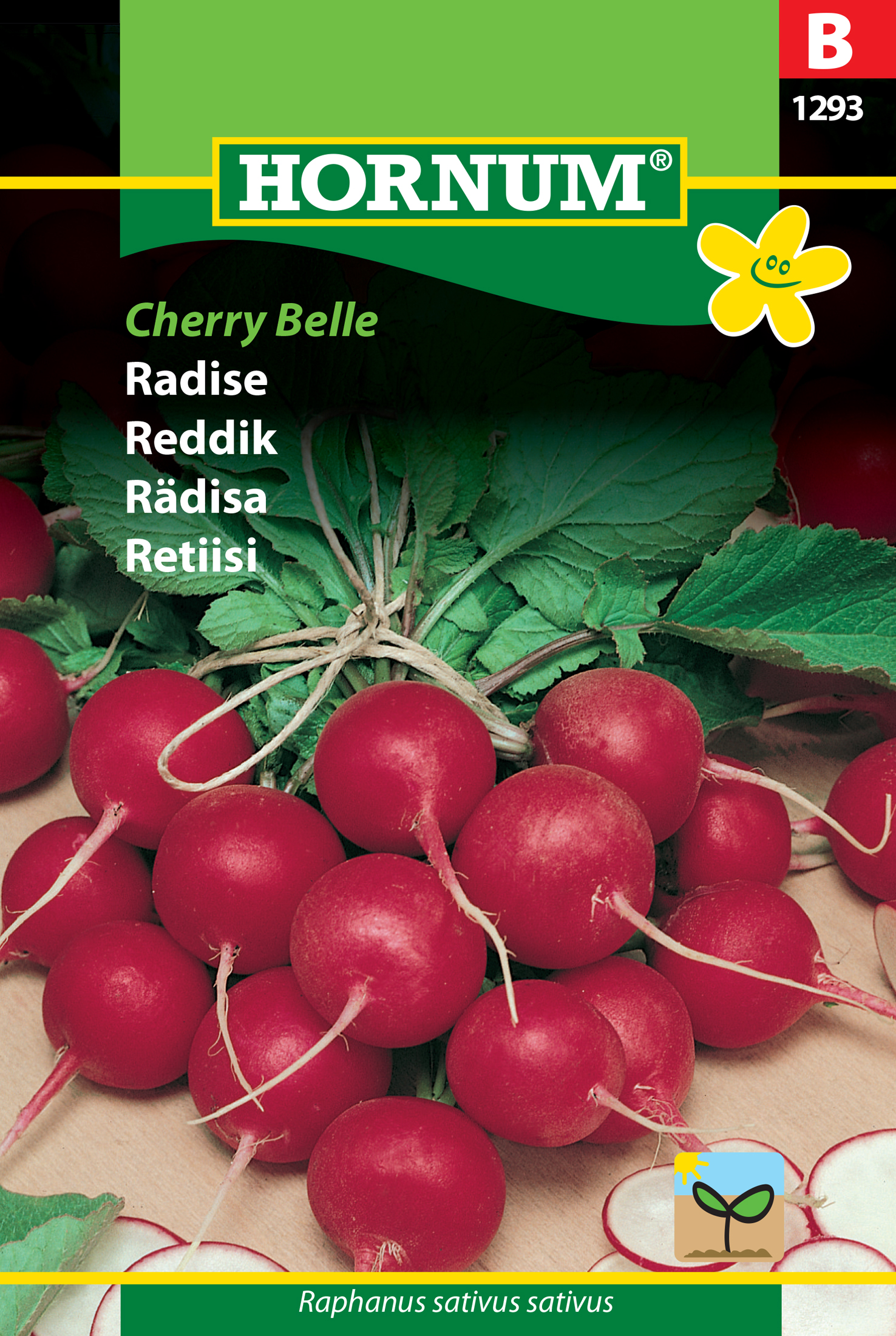 Fræ Radísur Raphanus sativus sativus Cherry Belle