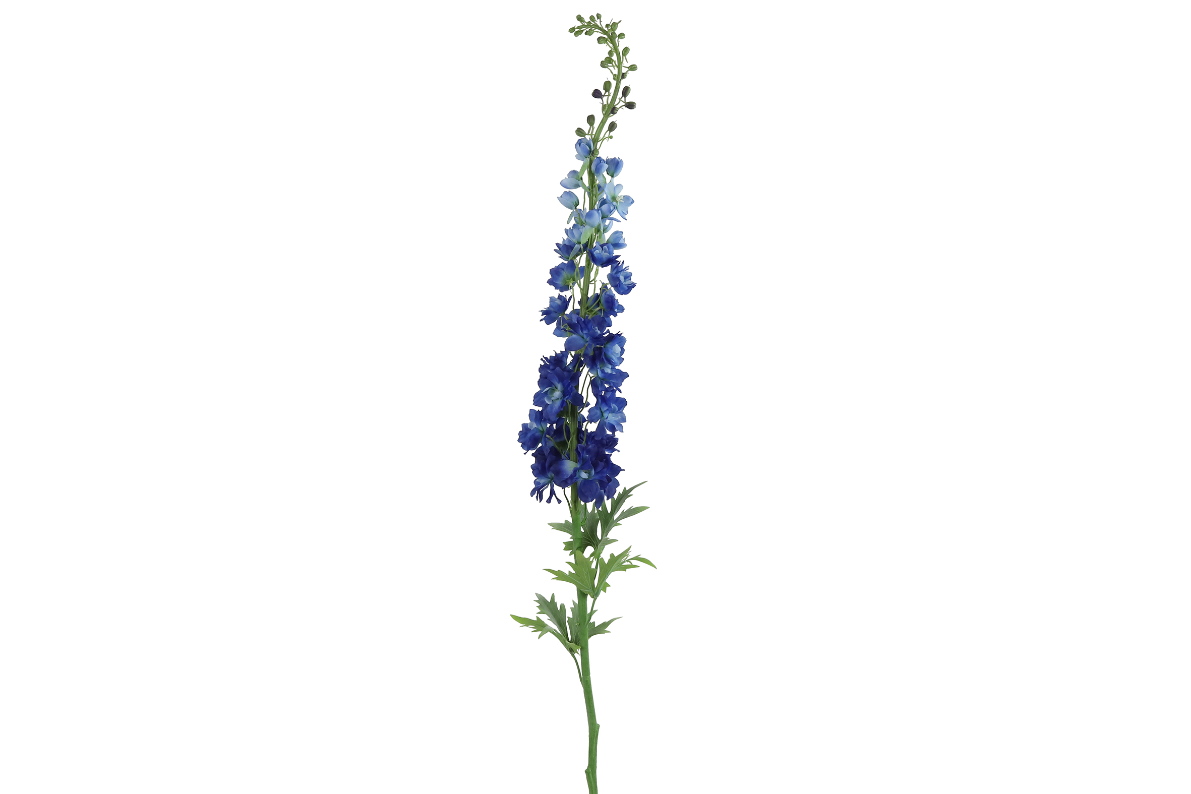 Gervi Delphinium d.blá 137cm