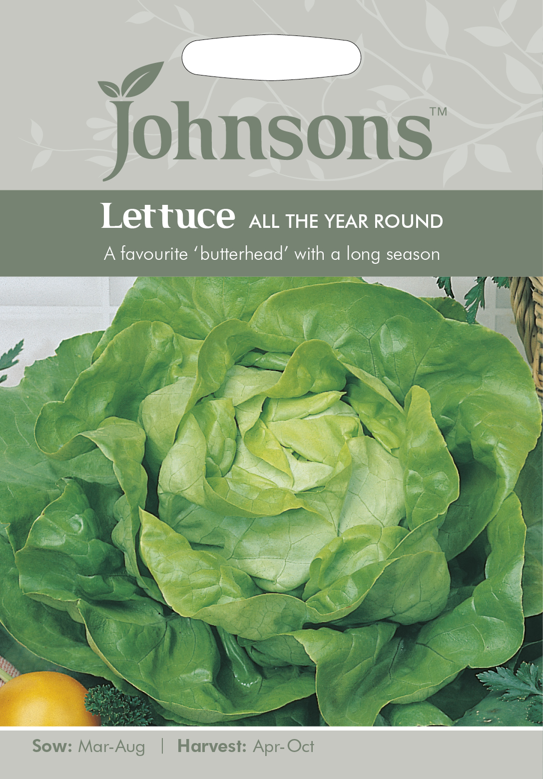 Fræ Lettuce All The Year Round