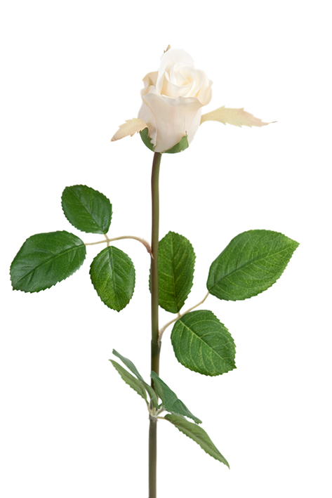 Gervi Rós hvít 50cm