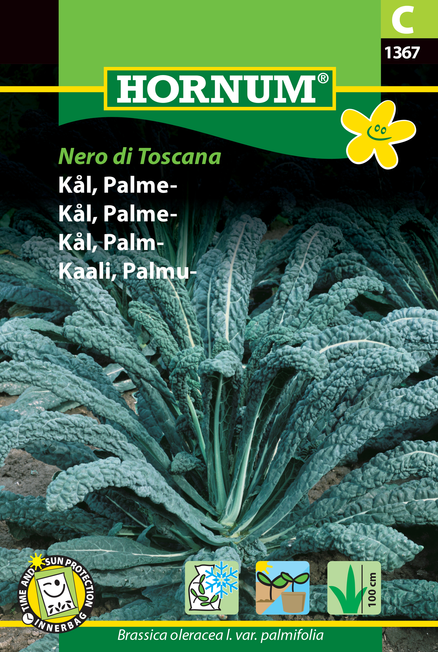 Fræ Grænkál Brassica oleracea l.var.palmifolia Nero di Tosca