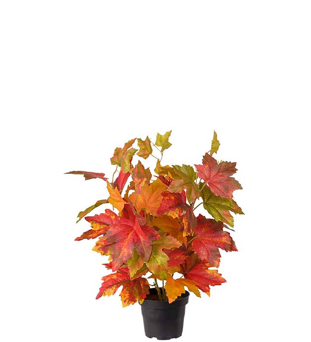 Gervi Lönn í potti h35cm