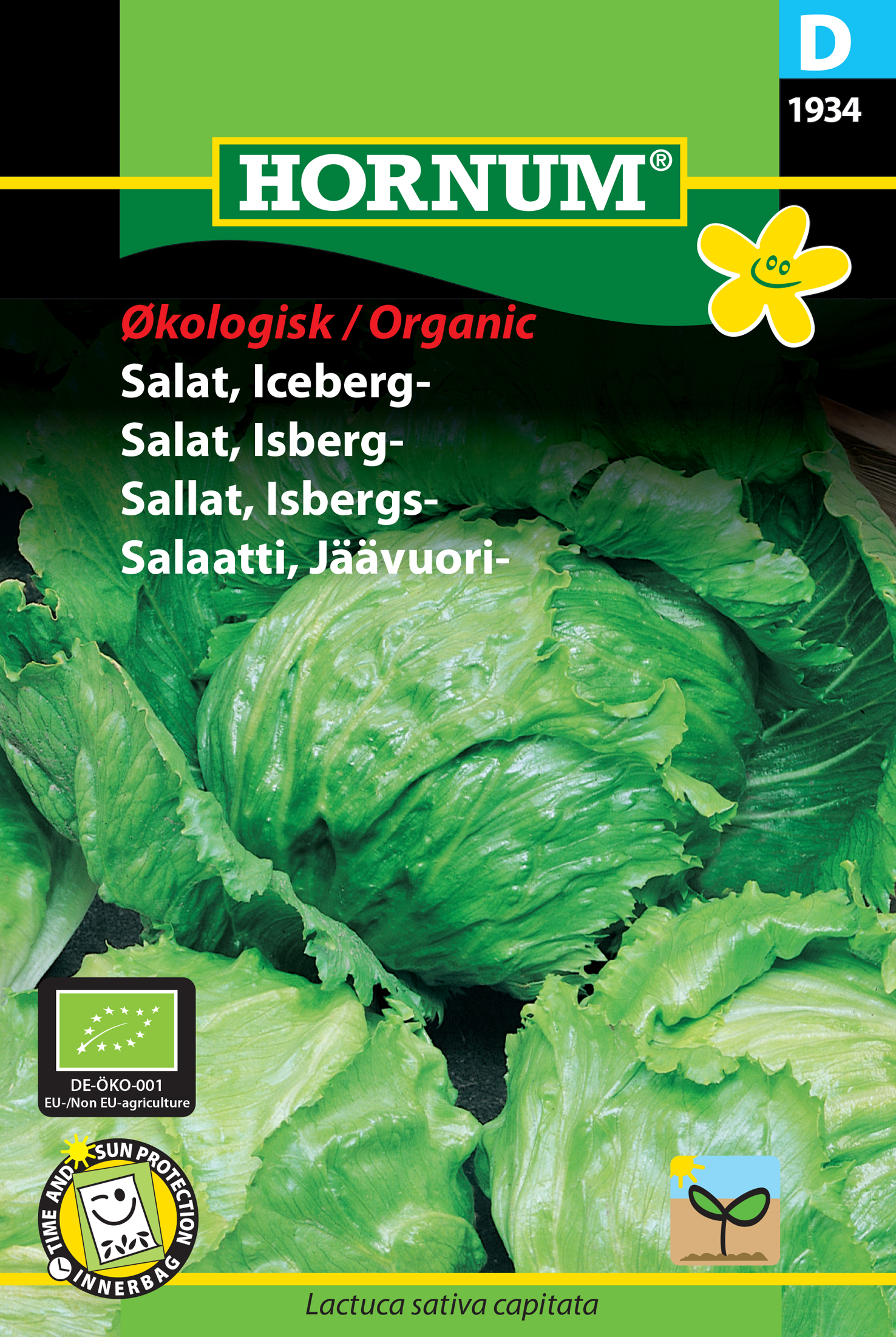 Fræ Iceberg salat Lactuca sativa capitata Saladin lífrænt
