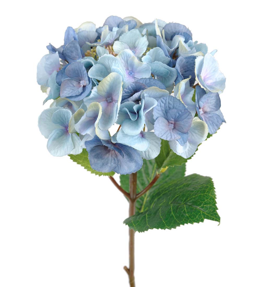 Gervi Hortensia 45cm blá
