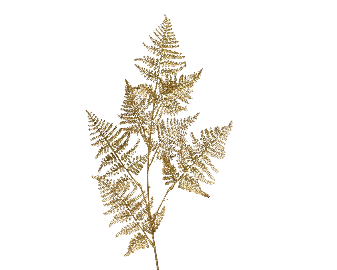 Gervi Asparagus 87cm gyllt