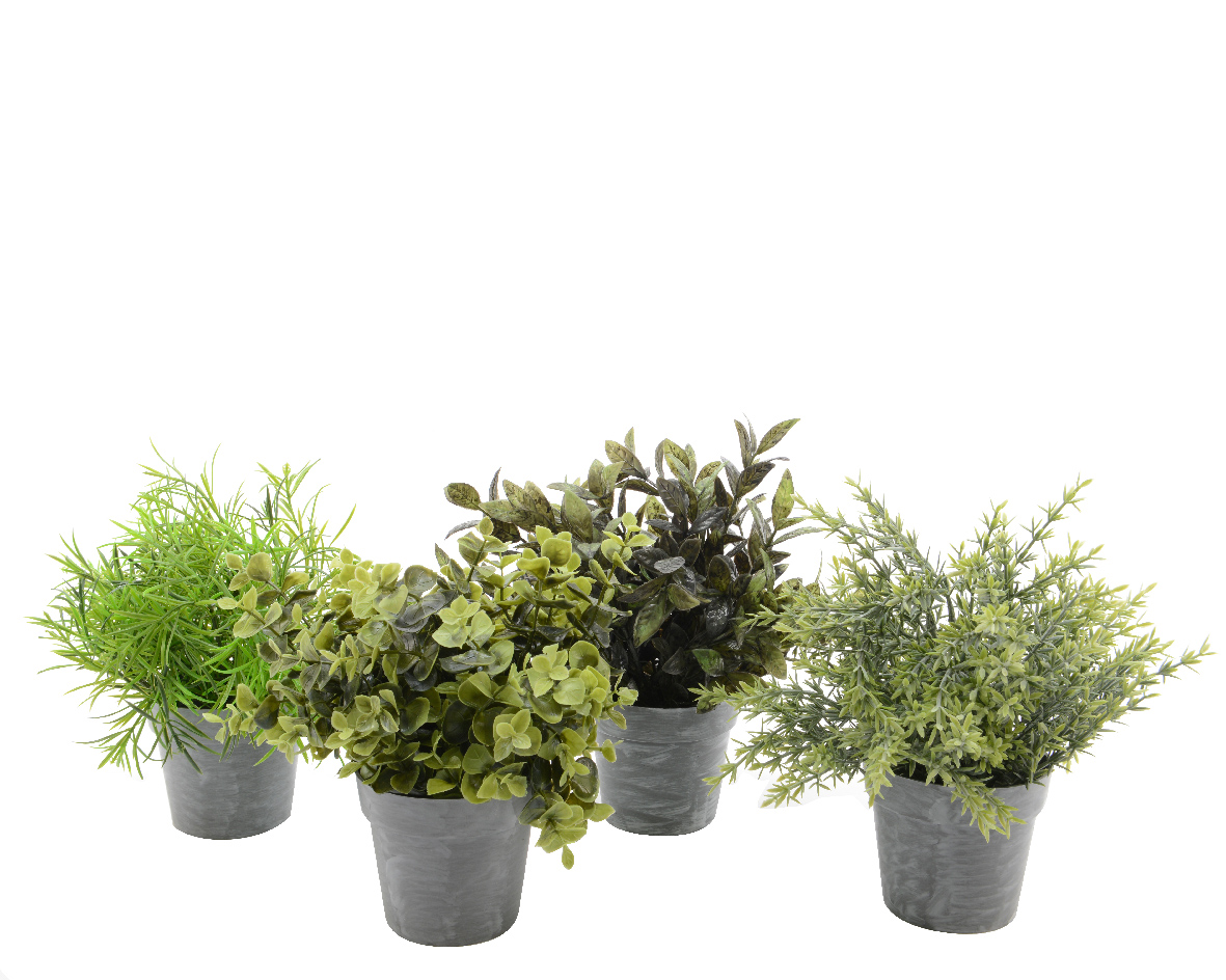 Gervi planta í pt. 25cm 4teg.