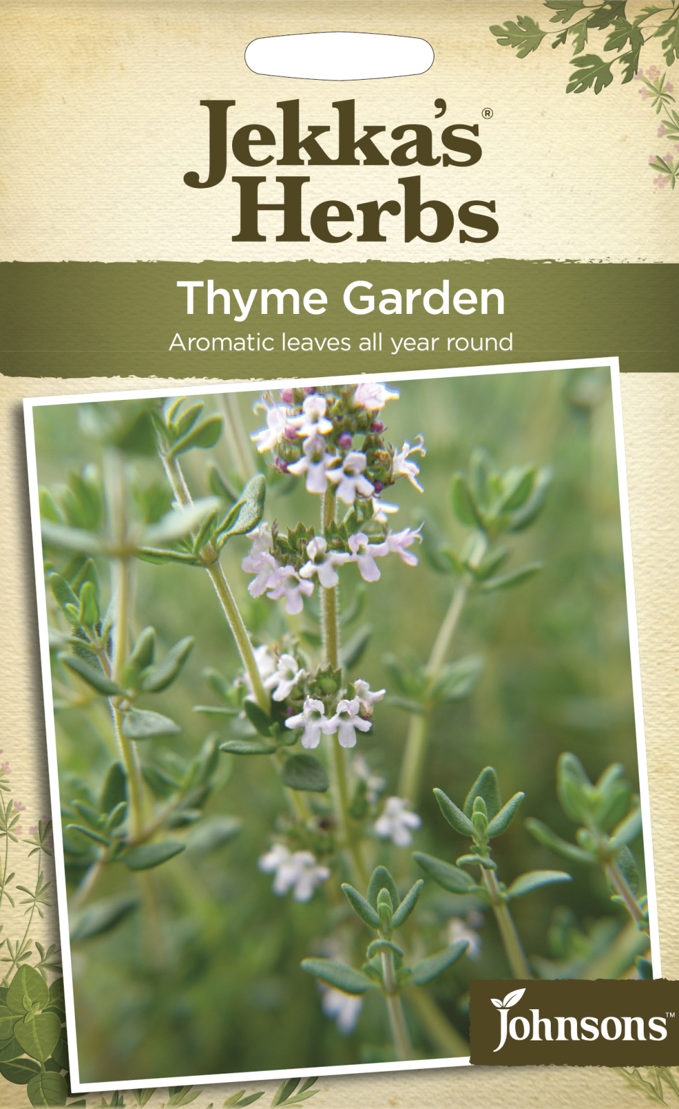 Fræ Thyme Common Garden