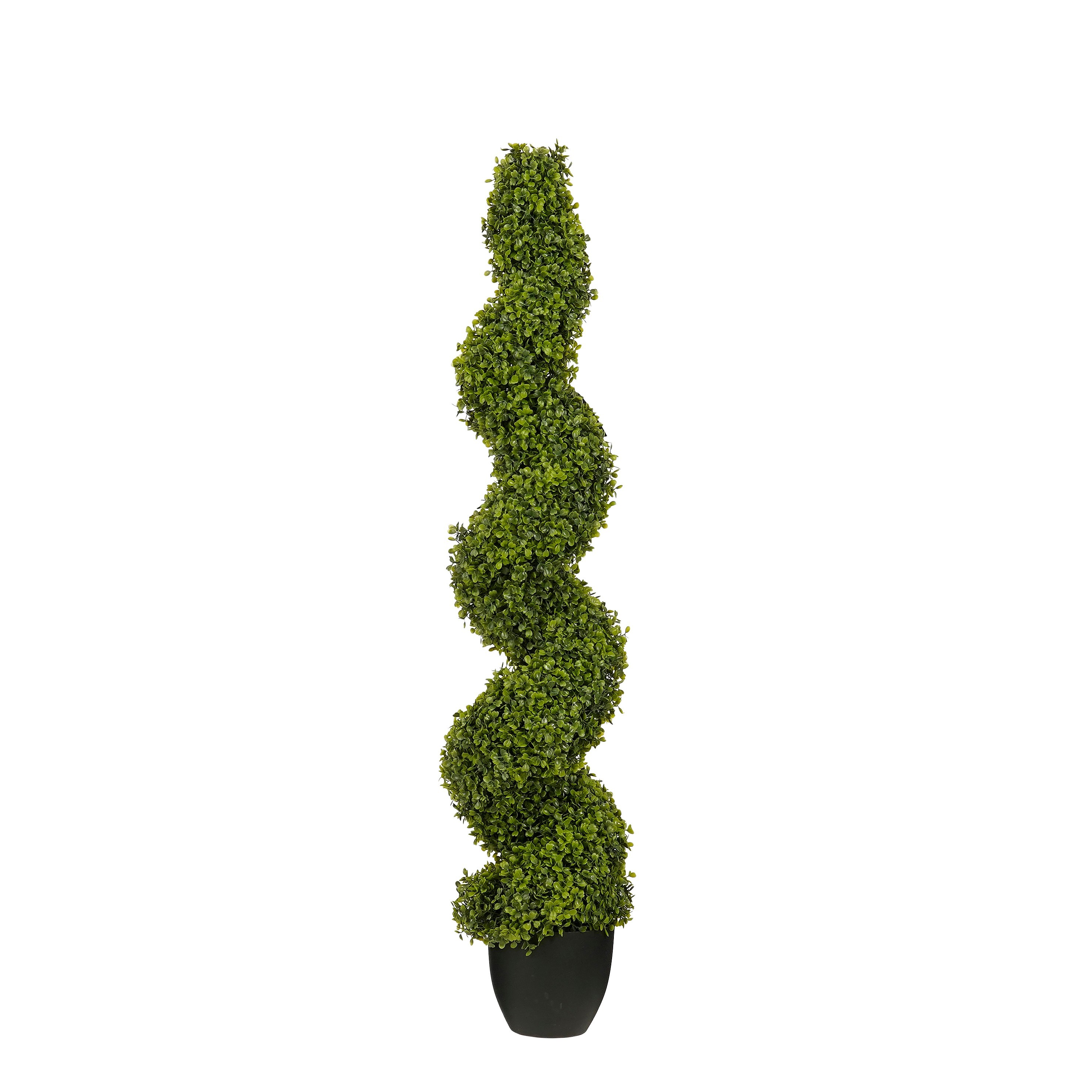 Gervi Boxwood tré snúið grænt h120cm