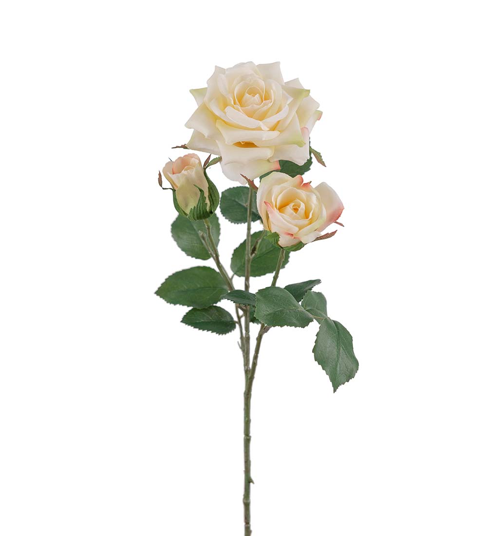 Gervi rós 55cm cream