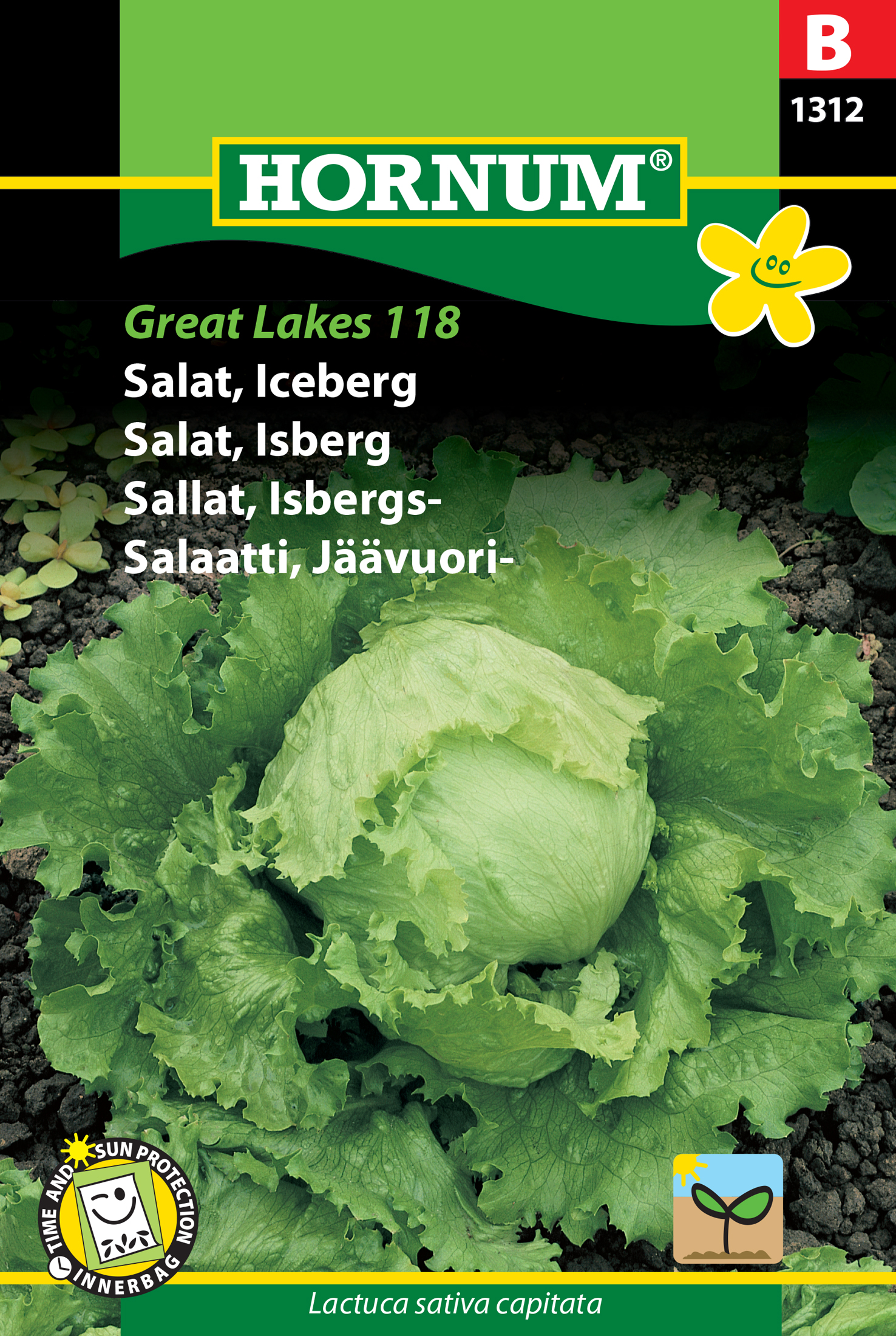 Fræ Höfuðsalat Lactuca sativa capitata Great Lakes 118