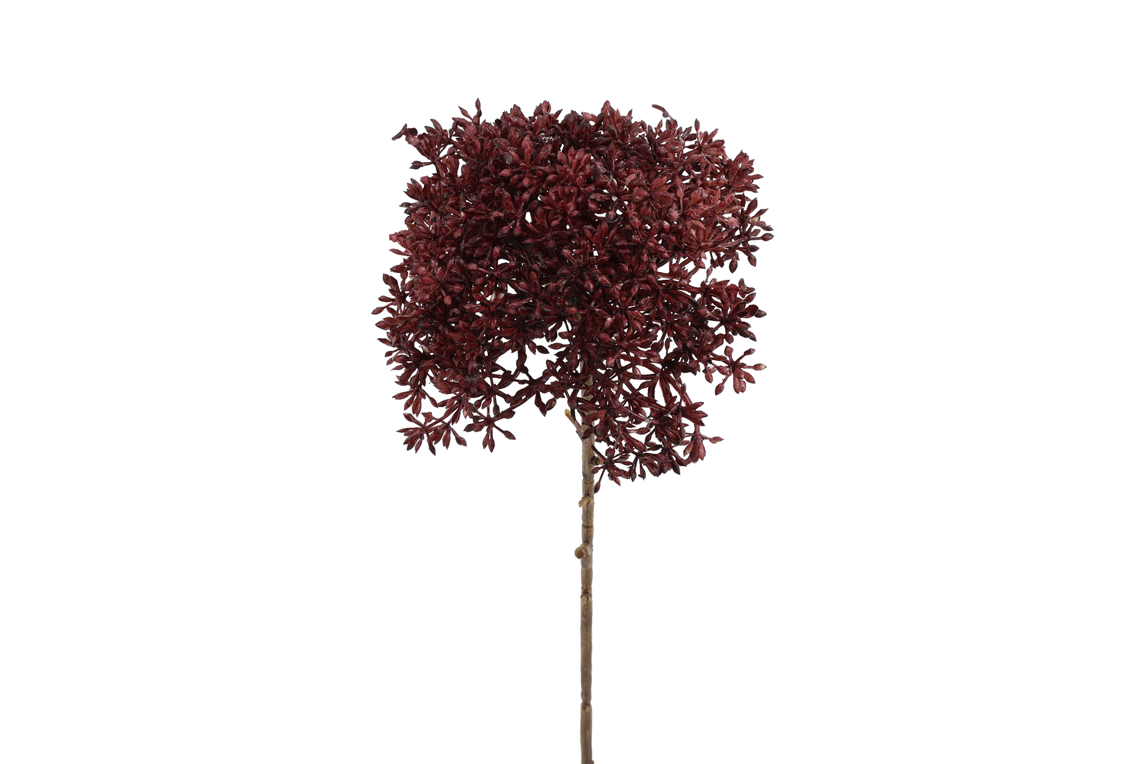 Gervi Eupatorium 65cm fjólublá