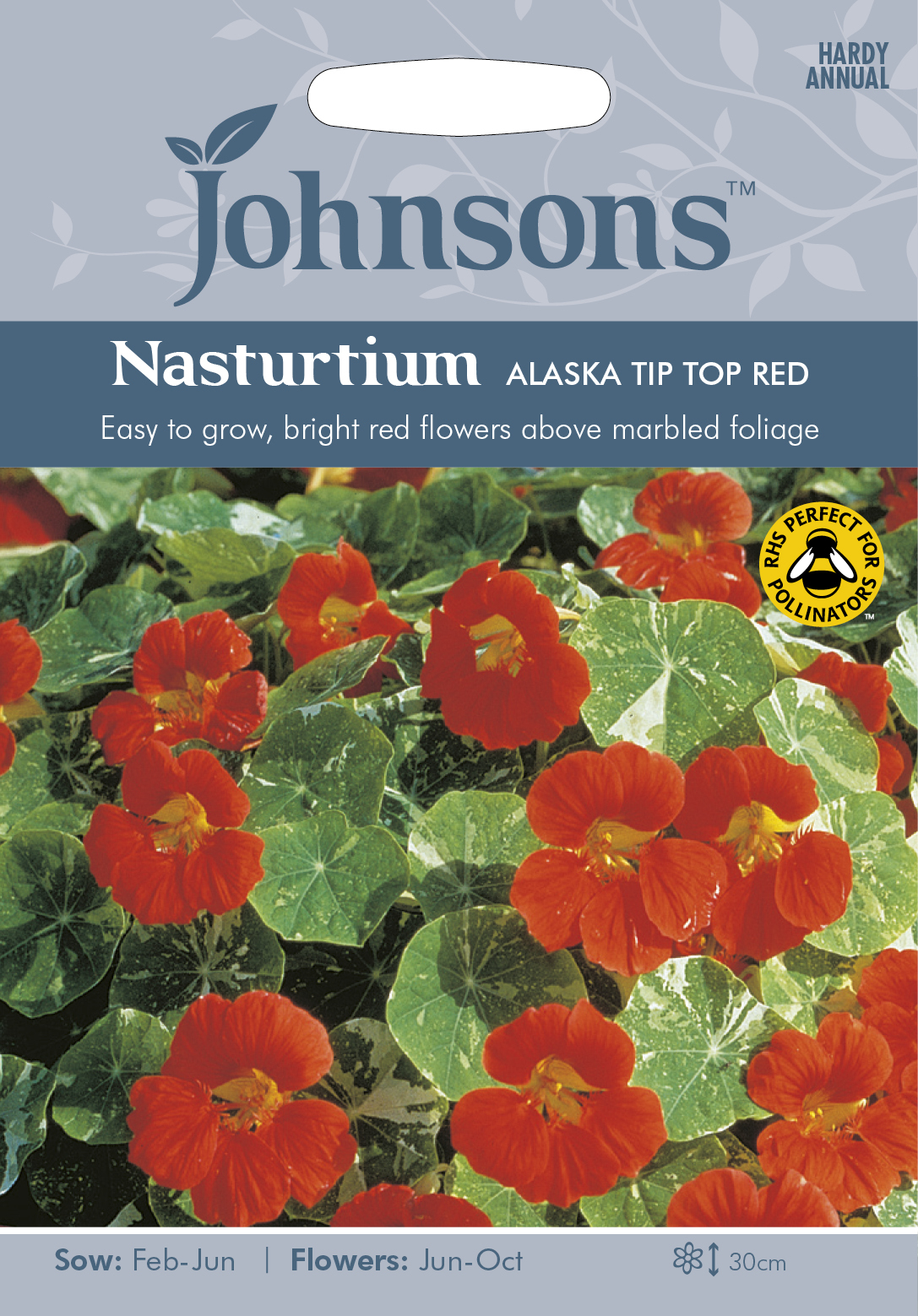 Fræ Nasturtium Alaska Tip Top Red