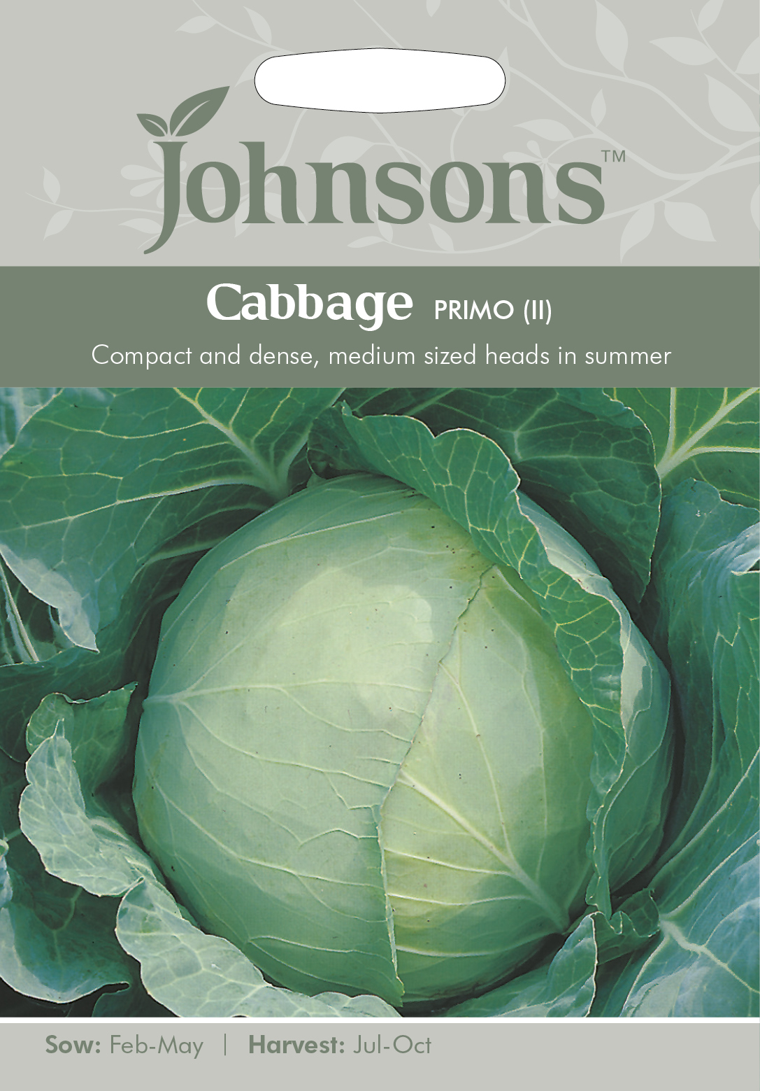 Fræ Cabbage Primo (II)