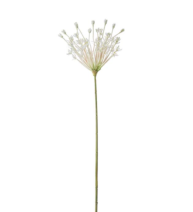 Gervi Allium 107cm hvítt