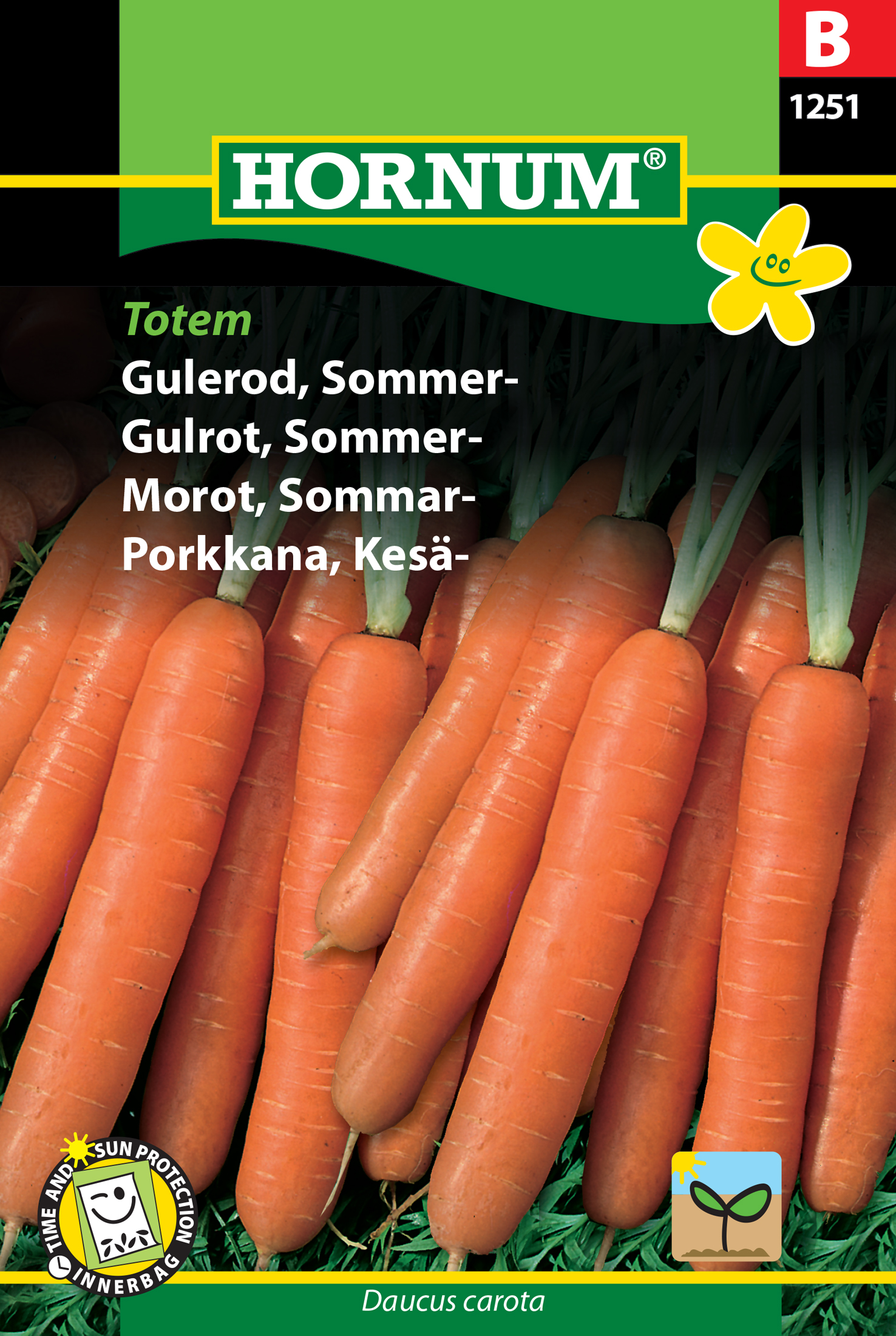 Fræ Gulrætur Daucus carota Totem