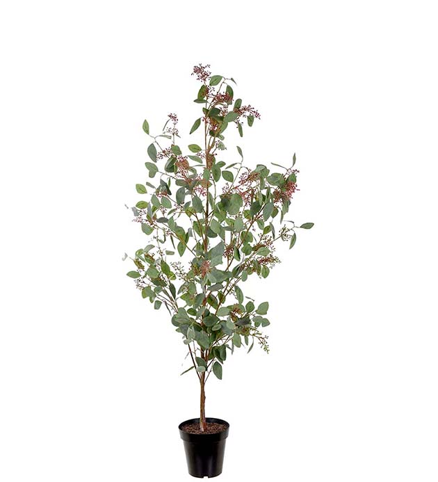 Gervi Eucalyptus í potti 175cm grár