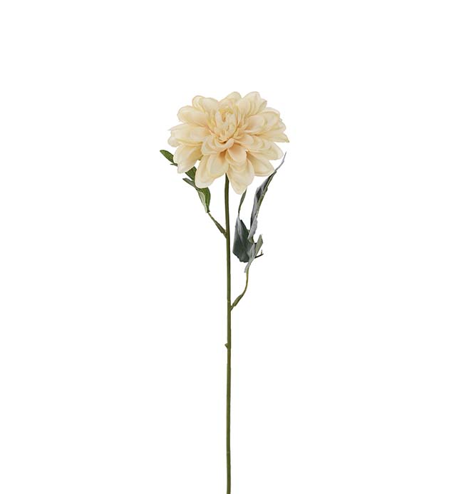 Gervi Zinnia 45cm beige