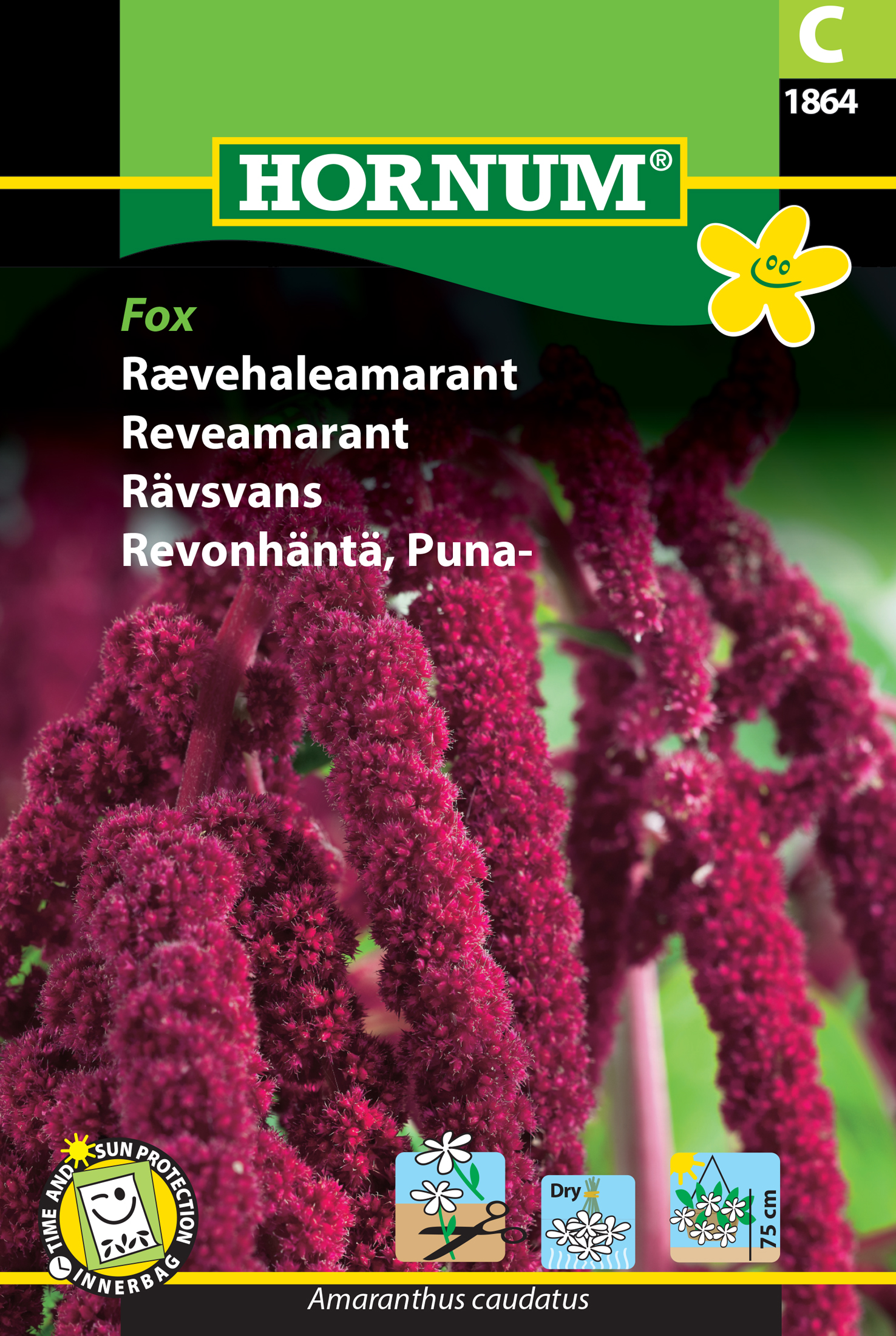 Fræ Skrauthali Amaranthus caudatus