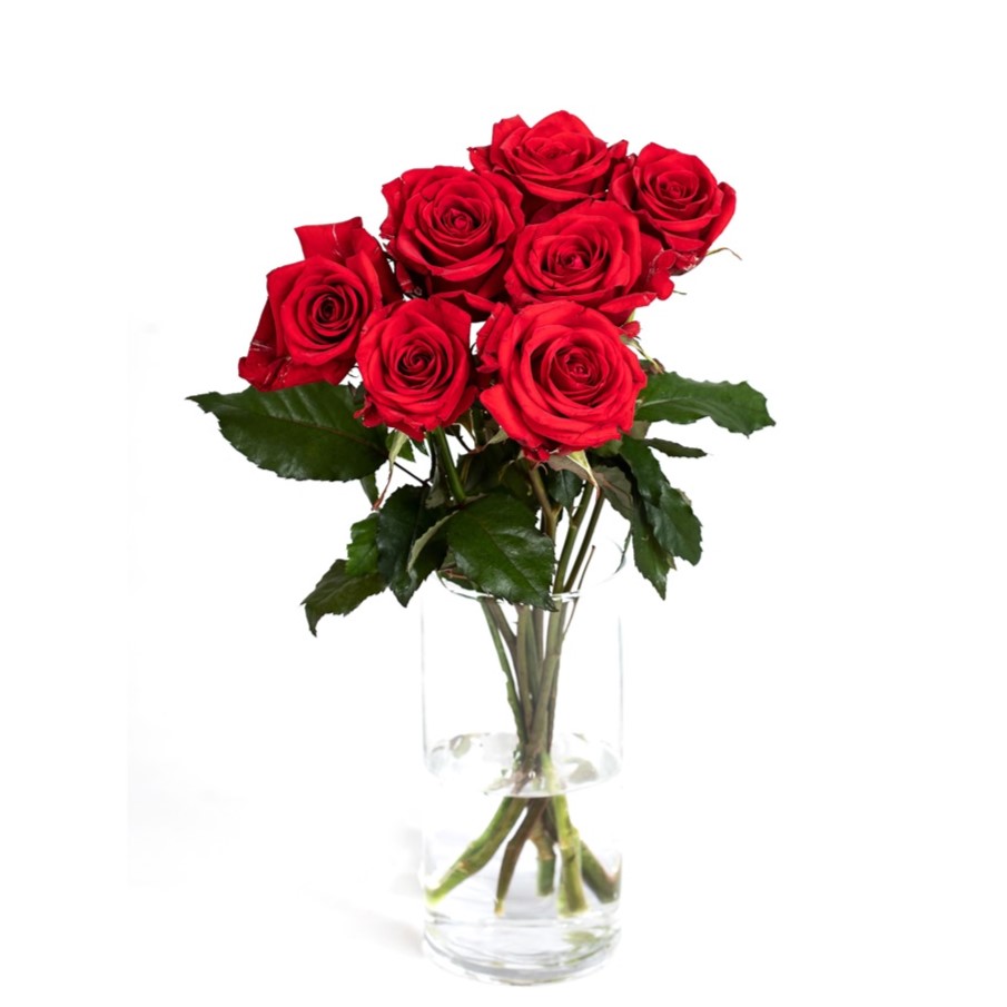 Rósir 7stk.  val á lit