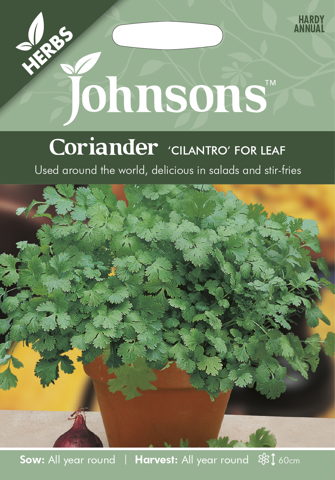 Fræ Coriander 'Cilantro' for Leaf