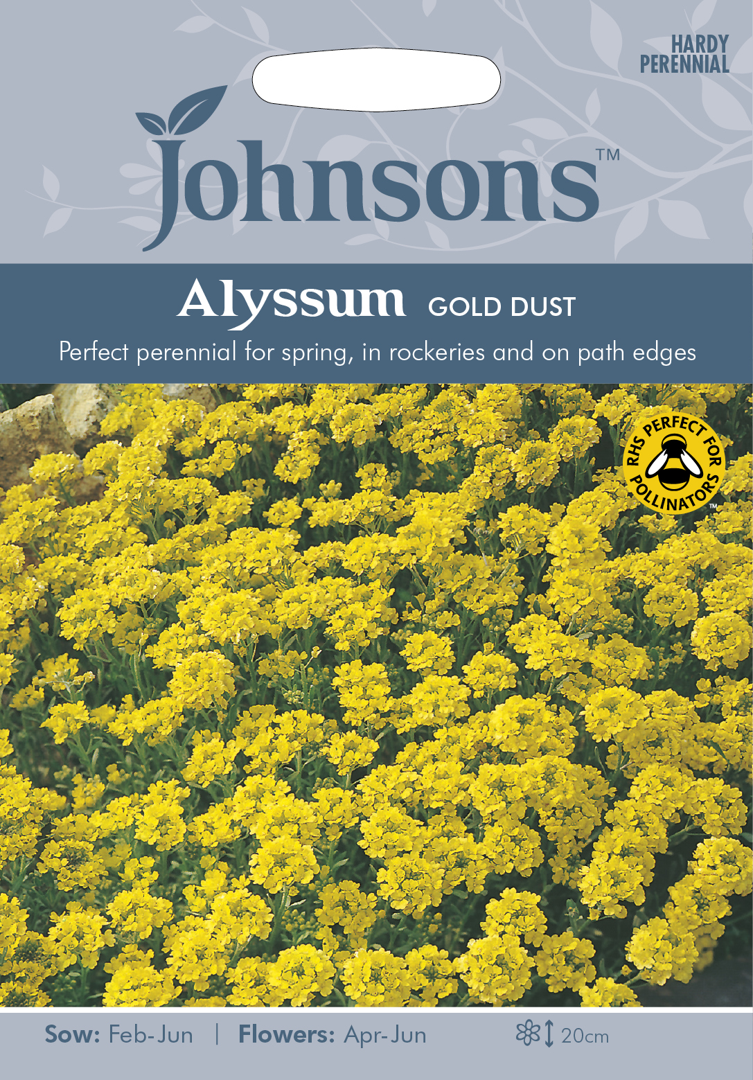 Fræ Alyssum Gold Dust