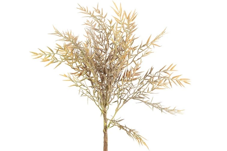 Gervi fargesia 20*h78cm brún