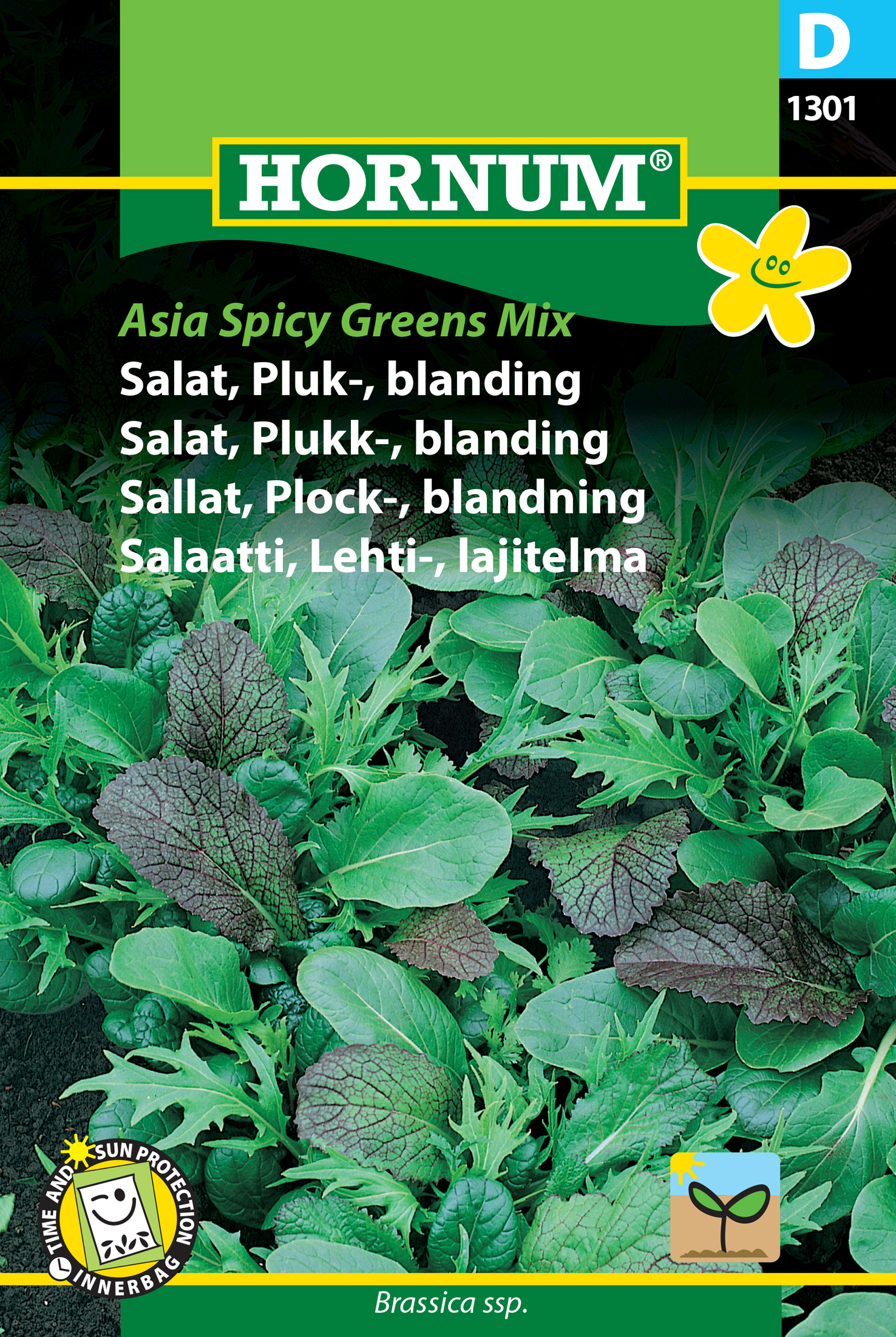 Fræ Akurkál Brassica ssp. Asia spicy greens mix