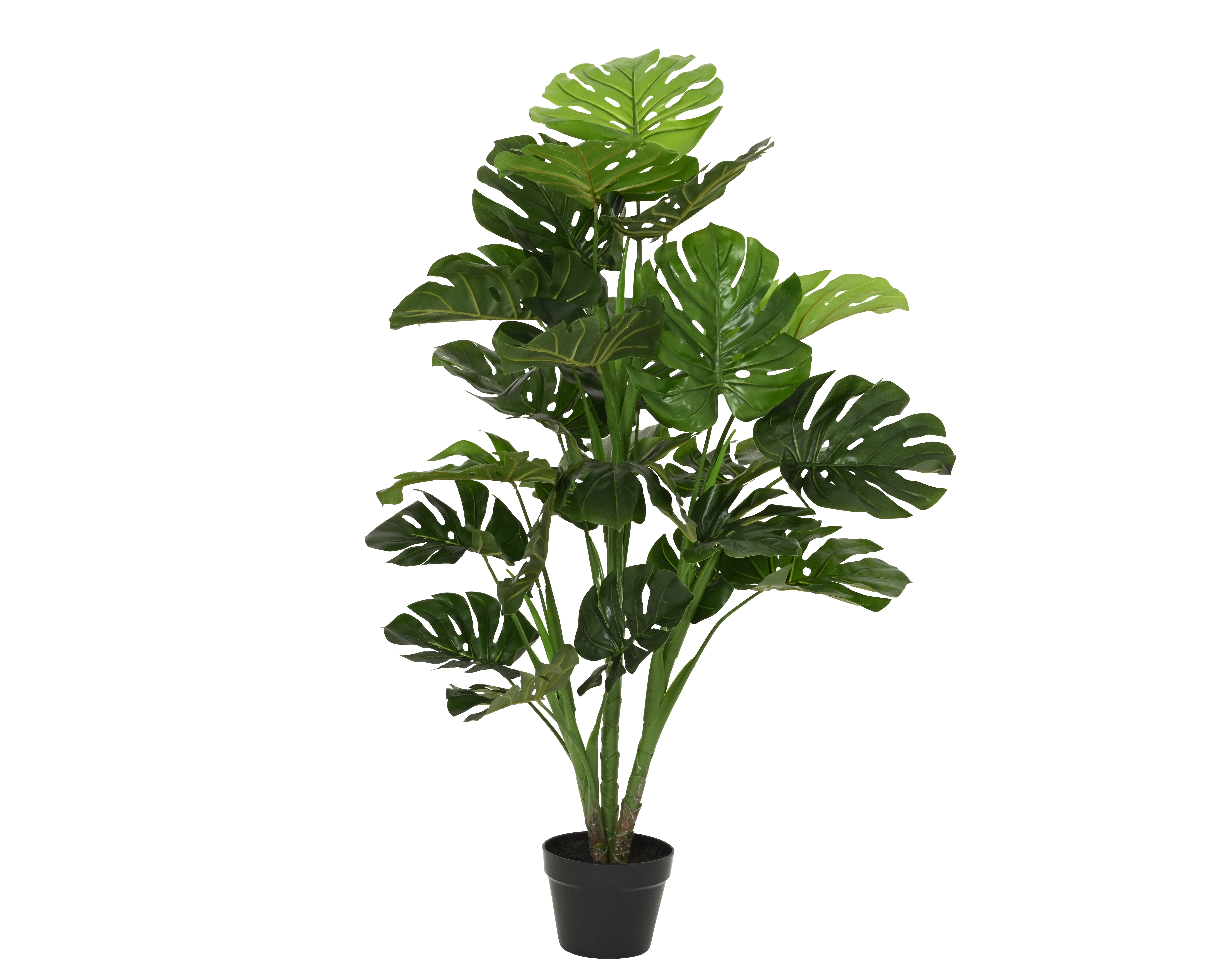 Gervi monstera í potta 120cm