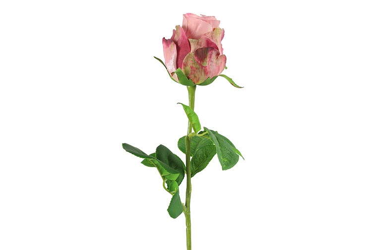 Gervi Rós 52cm bleik