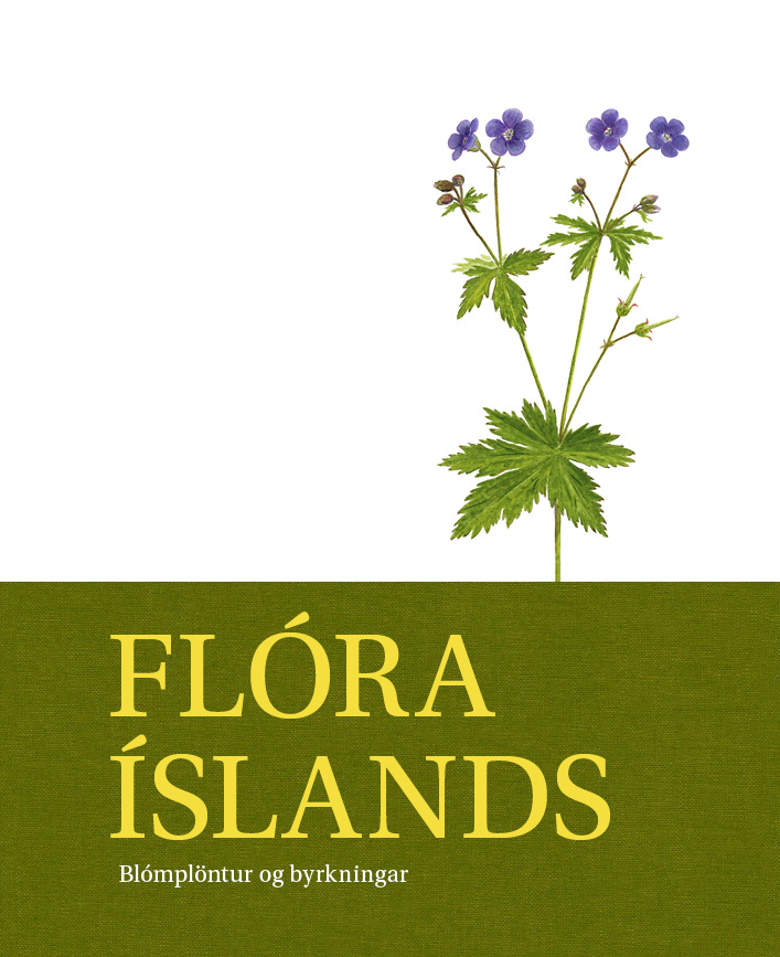 Flóra Íslands