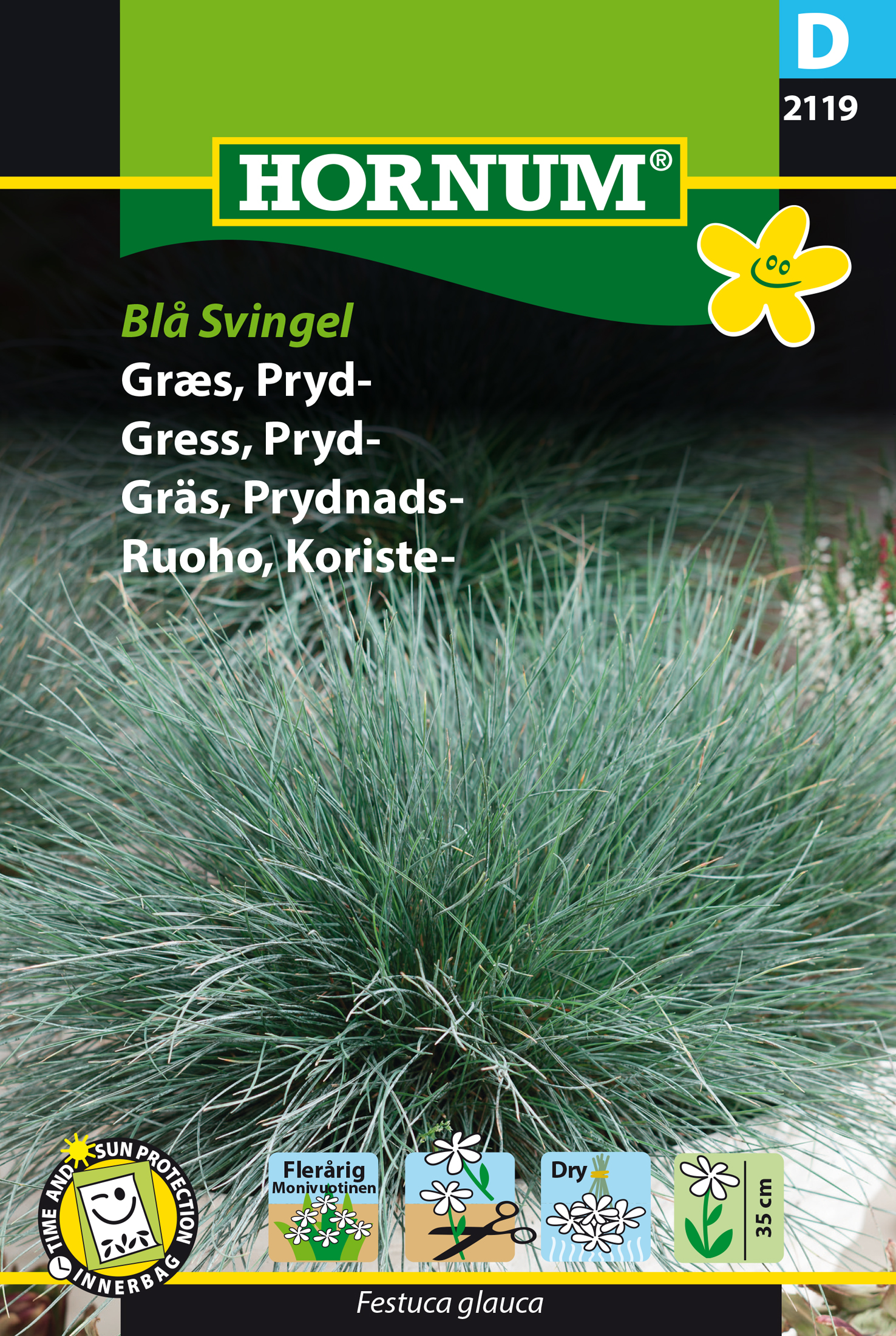 Fræ Fjallavingull Festuca glauca Blåsvingel