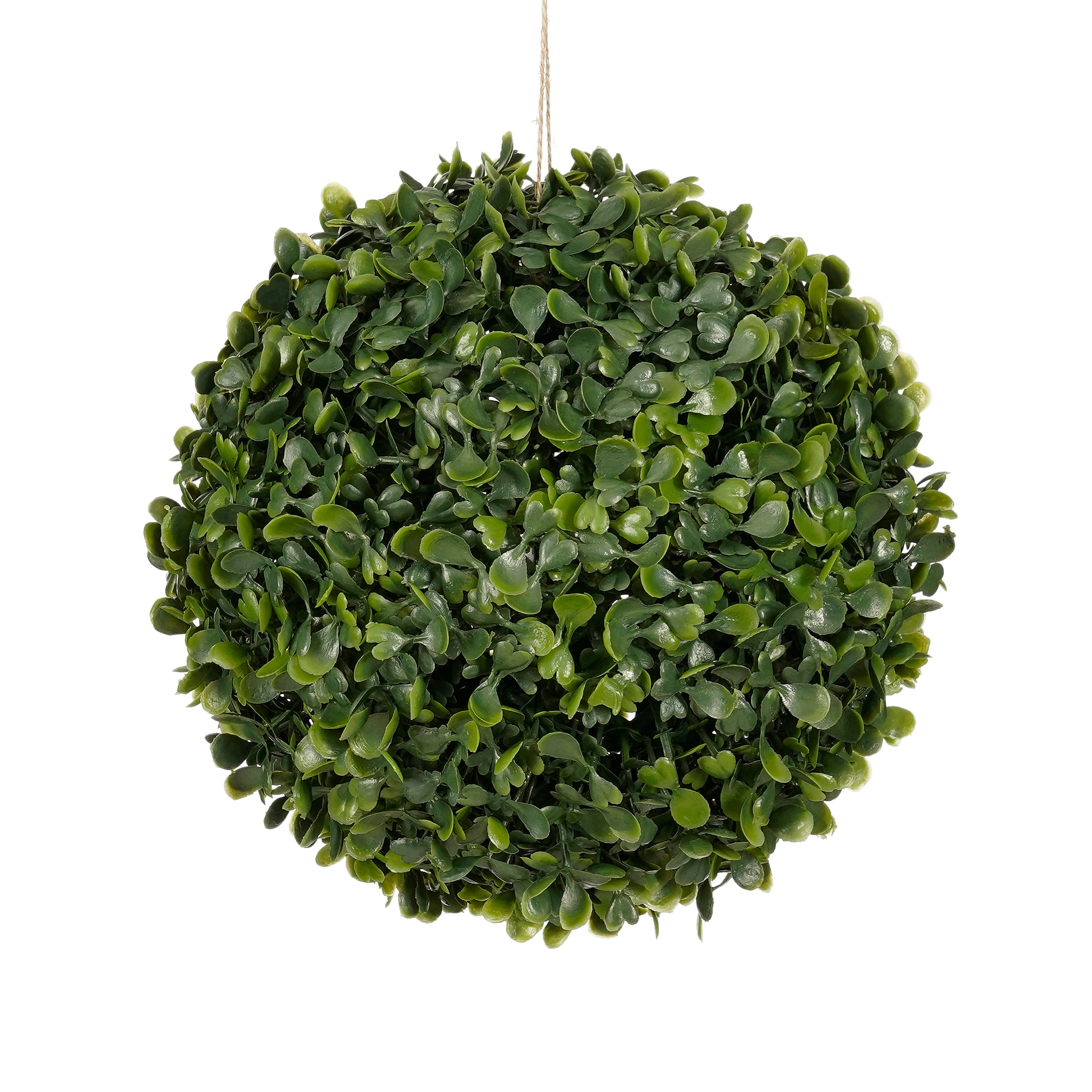 Gervi Boxwood bolti grænn 20cm