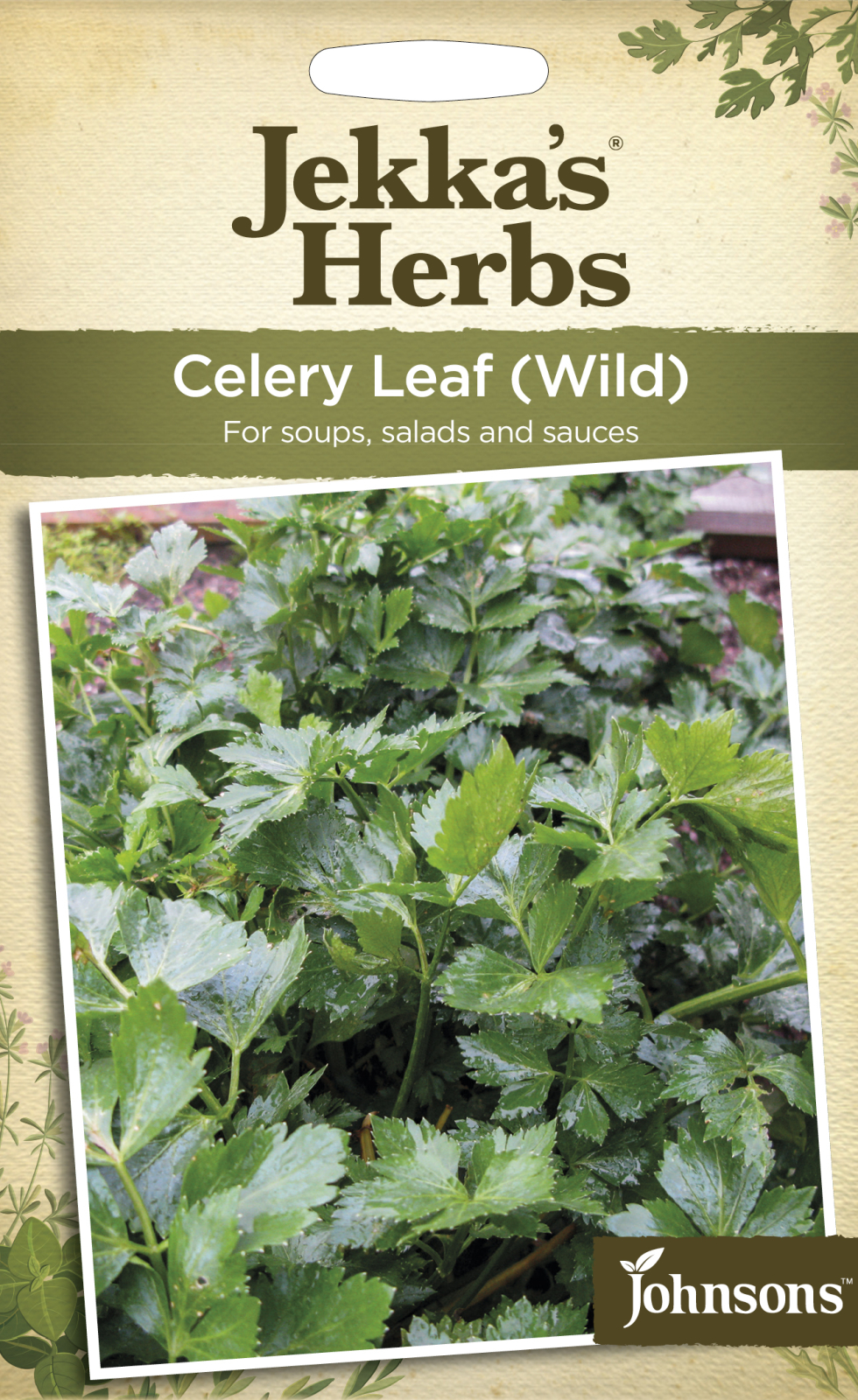 Fræ Celery Leaf Wild