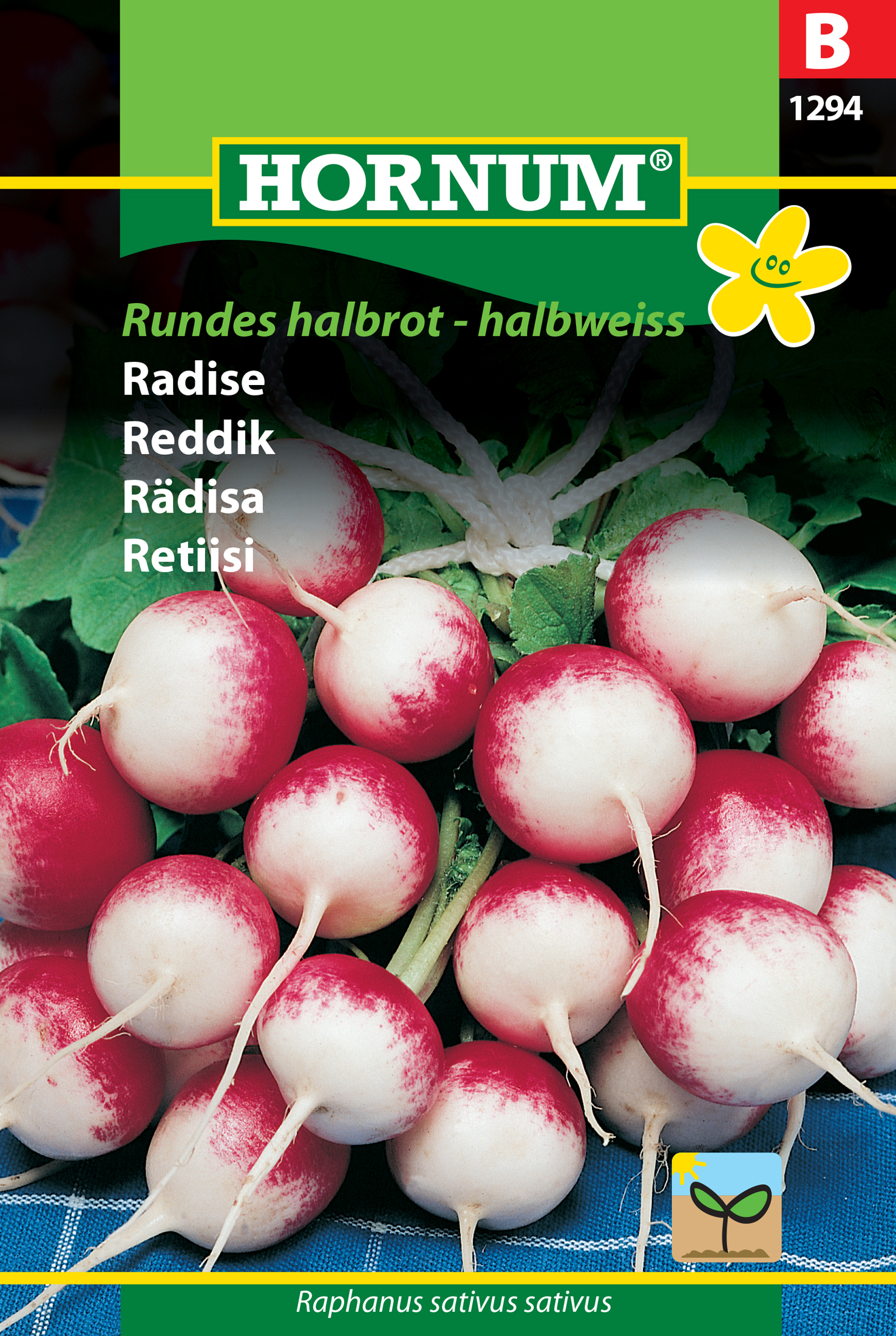 Fræ Radísur Raphanus sativus sativus Rundes halbrot halbwe