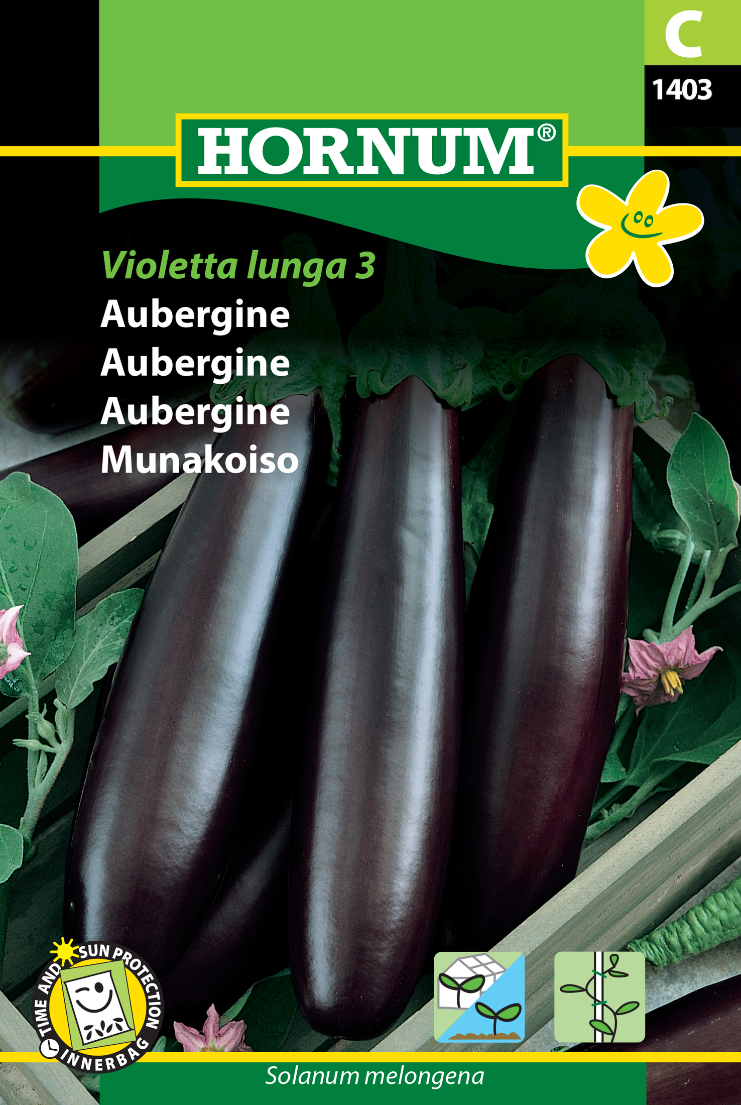 Fræ Eggaldin Solanum melongena Violetta lunga 3