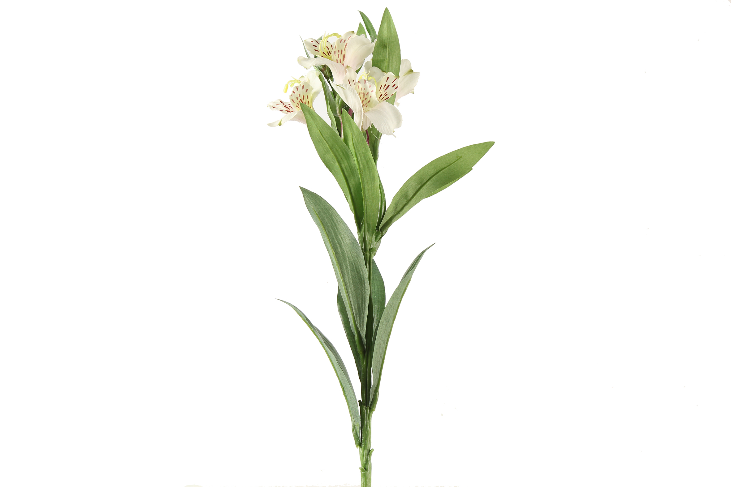 Gervi Alstromeria hvít