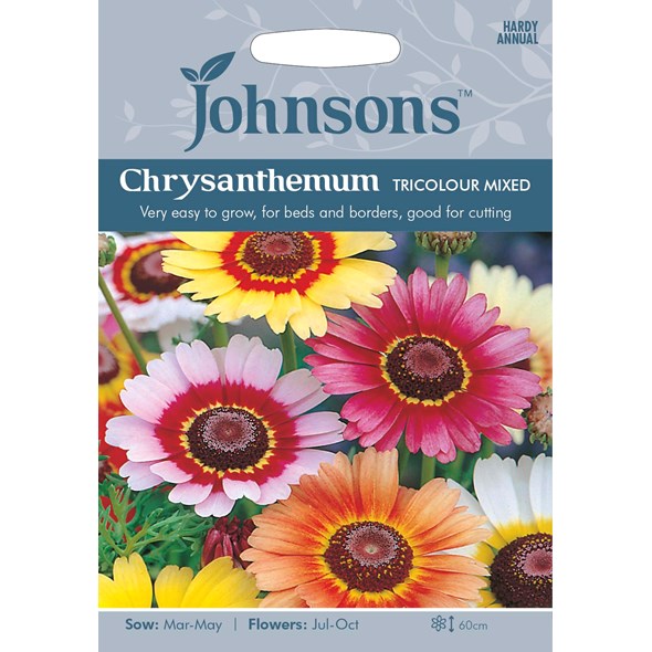 Fræ Chrysanthemum Tricolour Mixed