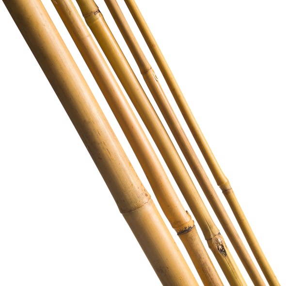 Bambusstangir 210cm 16-18mm 3stk.