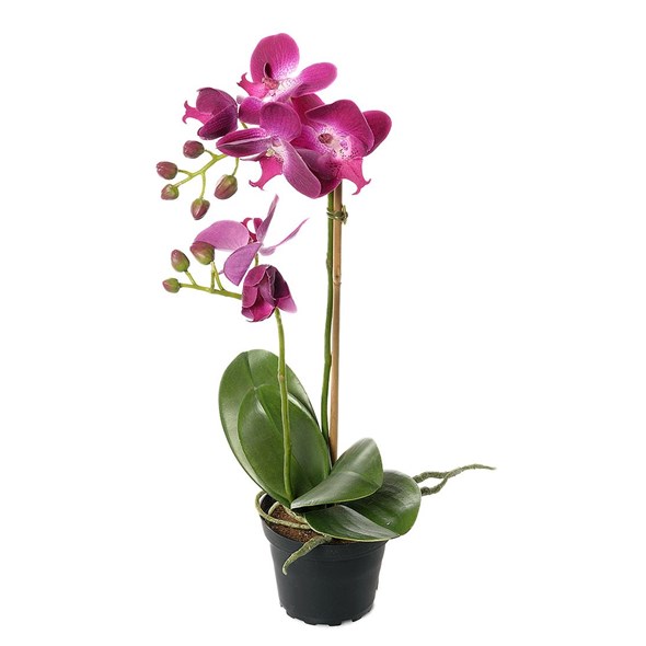 Gervi Orkidea dökkbleik í pt. 45cm