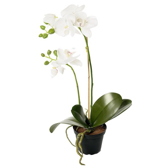 Gervi Orkidea hvít í pt. 45cm