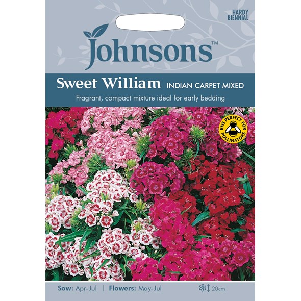 Fræ Sweet William Indian Carpet Mixed