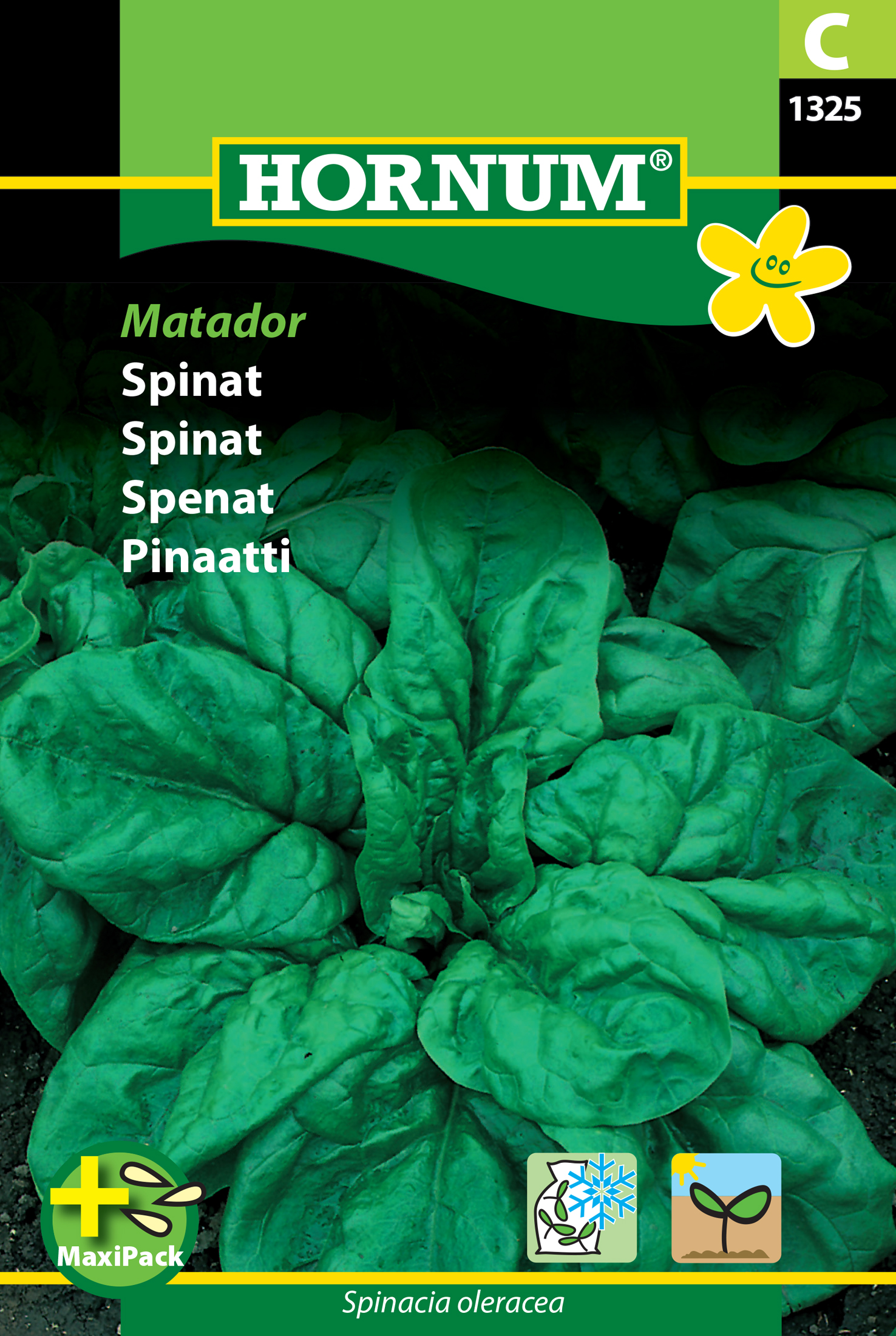 Fræ Spínat Spinacia oleracea Matador