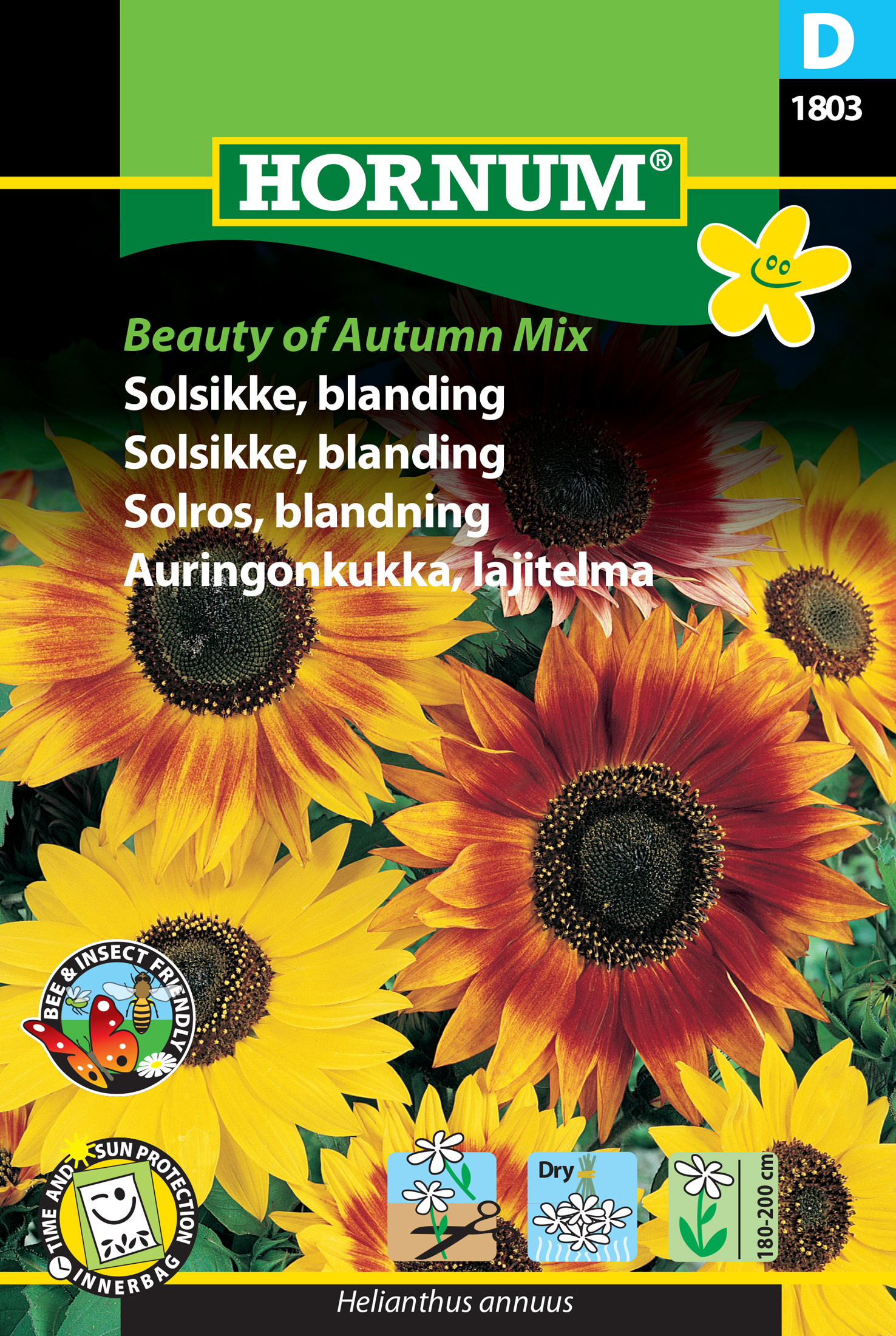 Fræ Sólblóm Helianthus annuus  Beauty of Autumn Mix