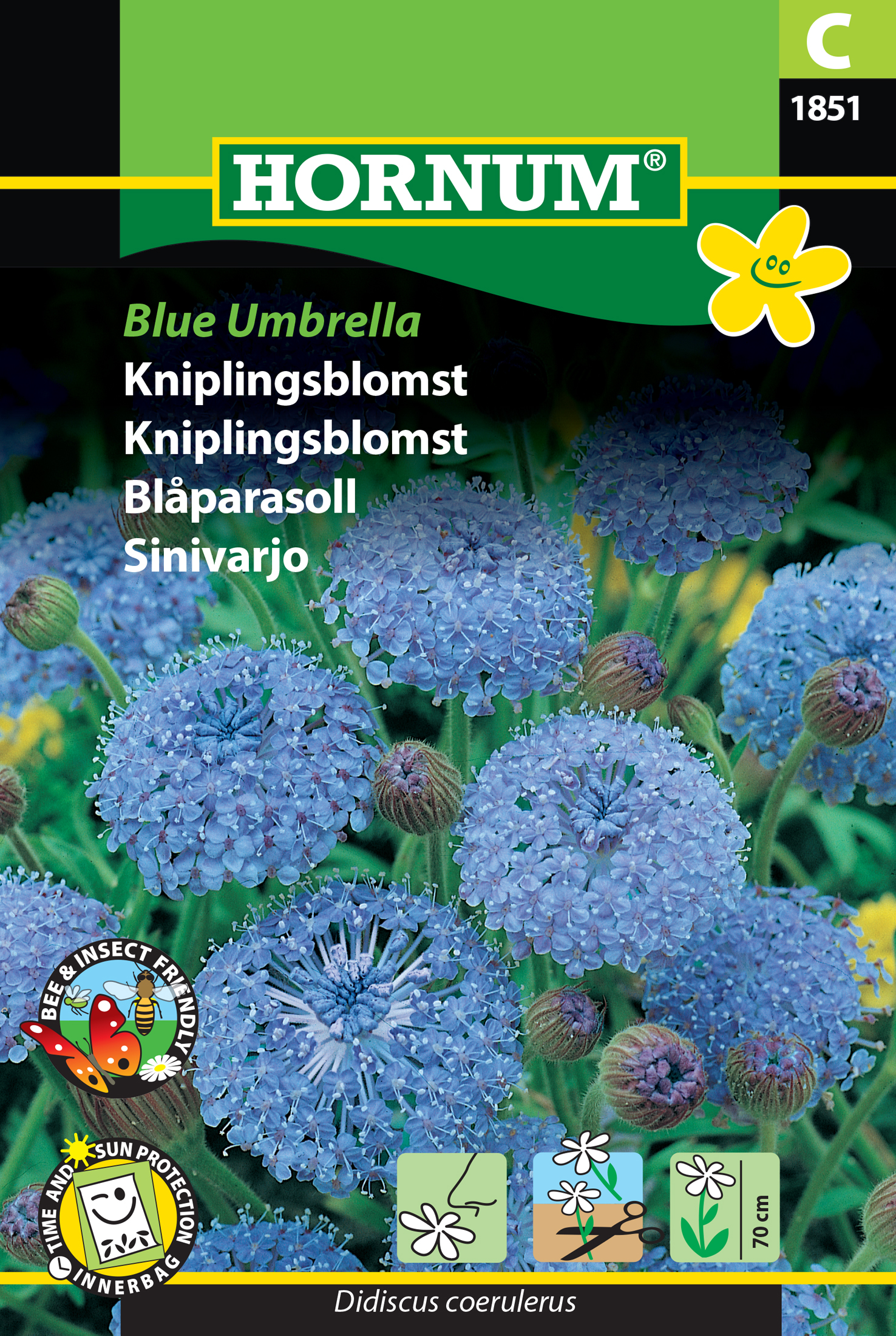 Fræ Blúndublóm Didiscus coerulerus Blue Umbrella