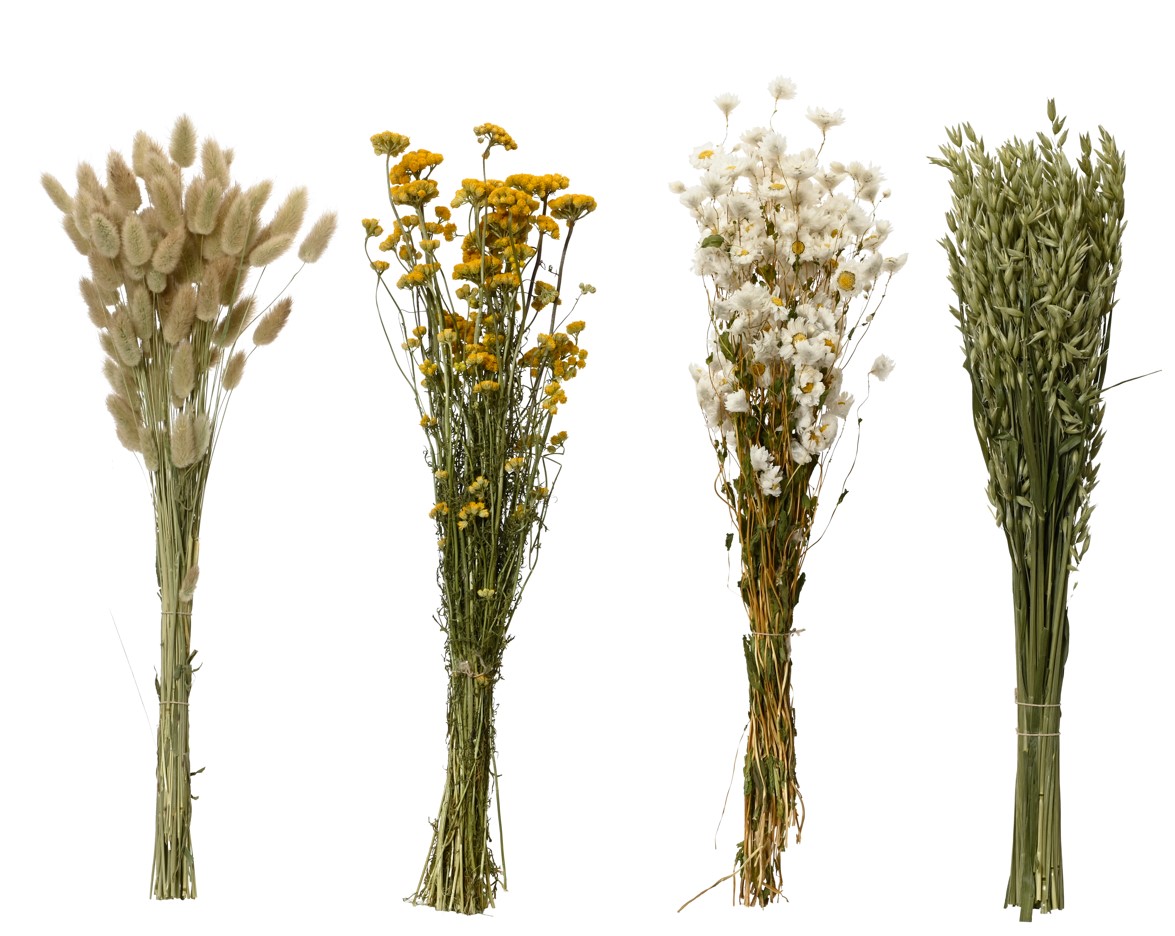 Gervi blómabúnt þurrkað h55cm